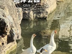 -迎泽公园