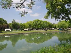 -无锡蠡湖国家湿地公园-蠡园