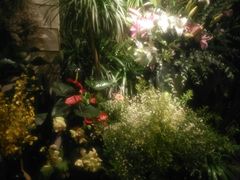 -春暖花开(西溪店)