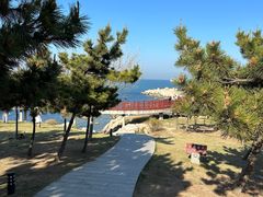 -养马岛旅游度假区