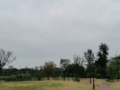 -两河城市森林公园