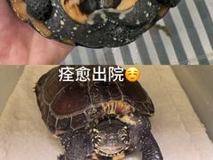 -悦宠动物医院(京丰分院)