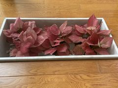 -武汉大学附属爱尔眼科医院(湖北总院)