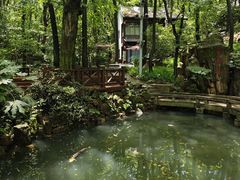 -句容茅山景区