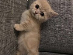 -舒友海鲜姿造(虹口店)