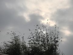 -崇阳三特浪口温泉