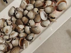 血蛤-华盛丰温州大排档(东三环南路店)