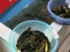 -彭大姐老店黄辣丁(新津店)