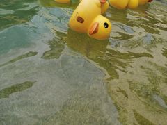 -苏州湾王焰温泉度假酒店