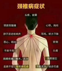 -香薇妮丝·定制减肥·身材管理