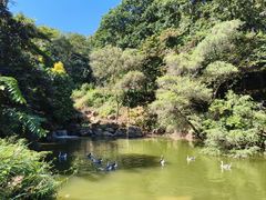 -广州市帽峰山景区