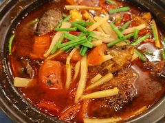 -金龙寨(龙城路店)
