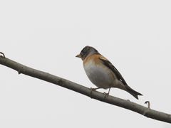 -梁鸿国家湿地公园