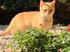 -徐家汇源景区-衡山公园