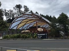 -怀托摩萤火虫洞