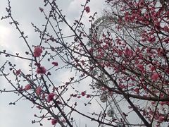 -祥源·阜阳生态乐园