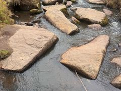 -汤旺河林海奇石景区