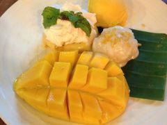 mango&nbsp;extra-Mango Tango