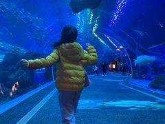 -成都浩海立方海洋公园