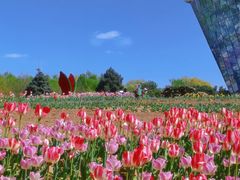 -石家庄市植物园
