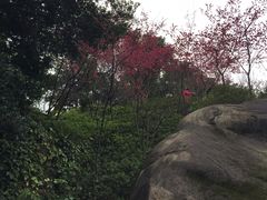 -乌山风景区