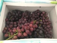 -黄河富景生态世界