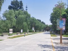 -野鸭湖国家湿地公园