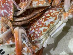 -阿浪海鲜连锁加工店(B栋2排1号火车头店)
