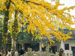 -西园戒幢律寺