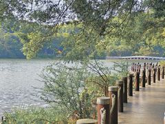 -深圳仙湖植物园