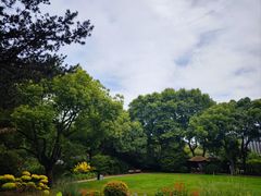 -上海醉白池公园
