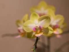 -BOCATA 西班牙餐厅(三里屯店)