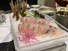 -红鼎豆捞·非遗鲍皇汤火锅(宝丰路店)