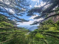 -黄山风景区