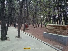 -林海公园