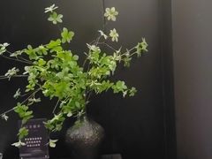 -华夏良子·足道SPA艾灸(金皇大厦店)