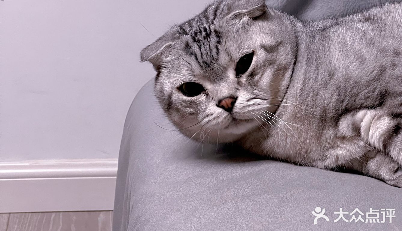 原來喝咖啡也會讓人醉生夢死！