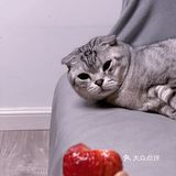 原來喝咖啡也會讓人醉生夢死！