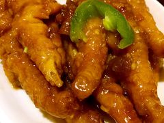 -糖朝(尖沙咀店)