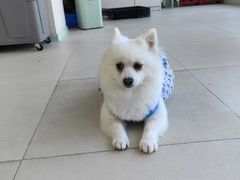 -怪兽屋·羊驼·猫咖·狗咖(俊华广场店)