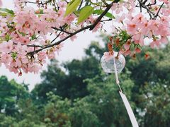 -宝墨园景区