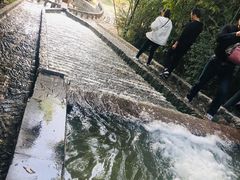 -祥源·阜阳生态乐园