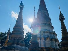 -瑞丽独树成林风景区