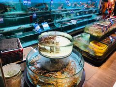 -强记海鲜·大排档(蛇口新街店)