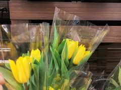 -优衣库(深圳万象天地旗舰店)