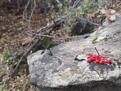 -白草畔自然风景区