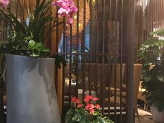 -润园四季椰子鸡火锅(海上世界店)