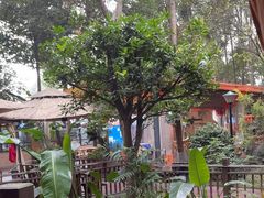 -二荆条·蜀鲜汇城市森林火锅