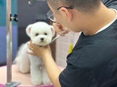 -FAELING PETS美天灵宠物(富力广场店)