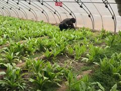 -杨柳青园艺科技博览园